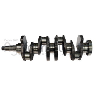 Vilebrequin coule Bepco 23/1-253 pour tracteur