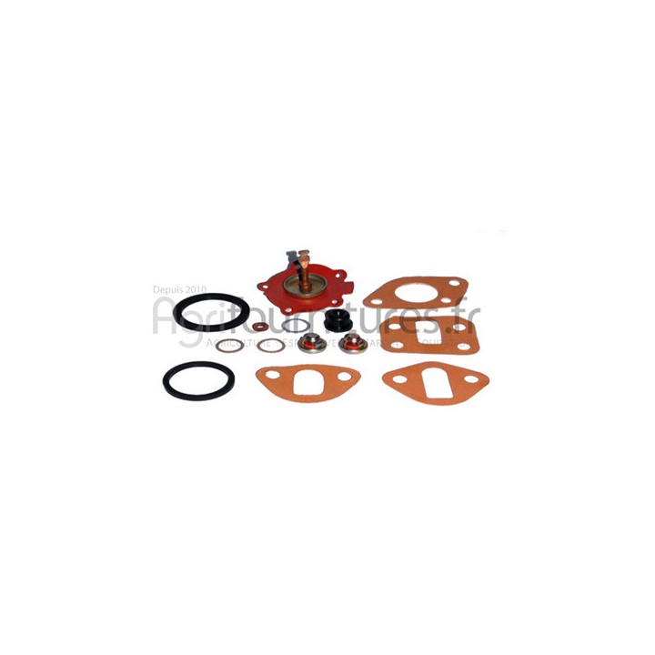 Jeu de réparation pompe d'alimentation Bepco 30/101-10 pour tracteur