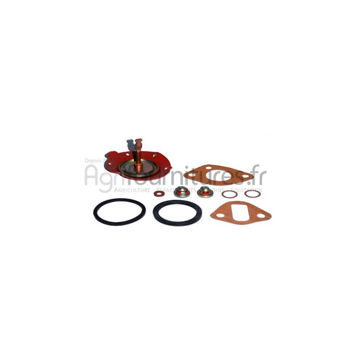 Jeu de réparation pompe d'alimentation Bepco 30/101-5 pour tracteur