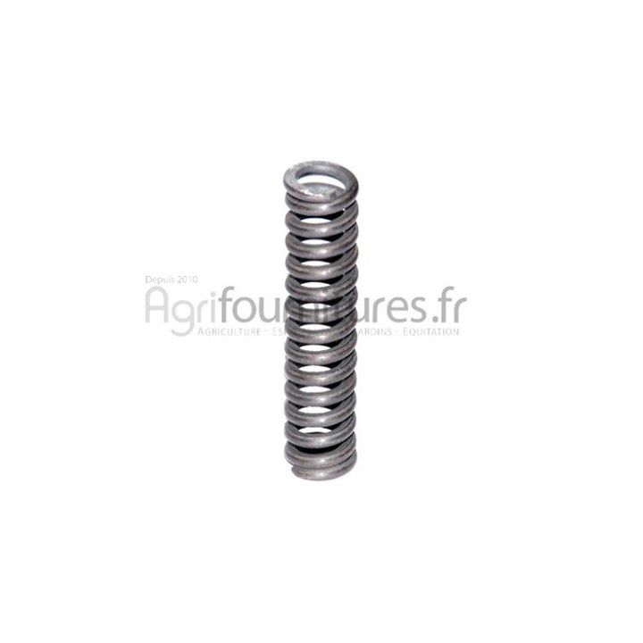 Ressort boîte de vitesse Bepco 30/556-11 pour tracteur