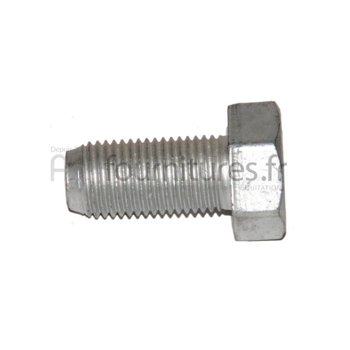Vis tete hexagonale m12 - l. 25 mm Entrée du différentiel - couple conique pont avant 4M Bepco 24/342-3