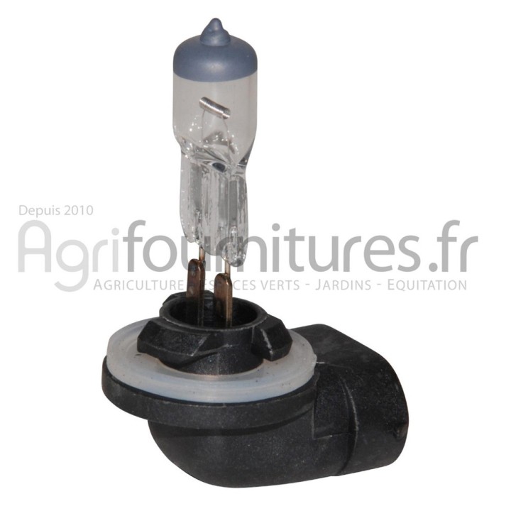 Ampoule 12V Bepco 63/1955-2