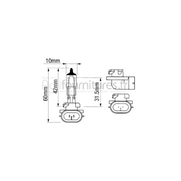 Ampoule 12V Bepco 63/1955-2