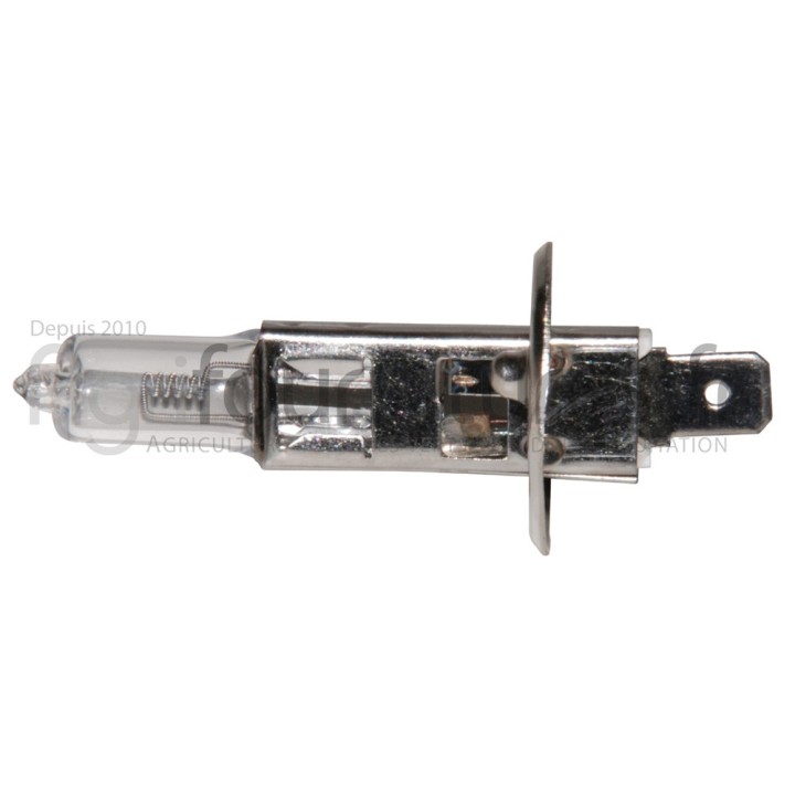 Ampoule 12V - h1 Bepco 63/1955-448
