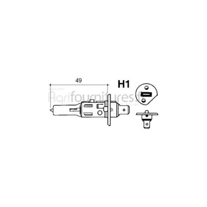 Ampoule 12V - h1 Bepco 63/1955-448