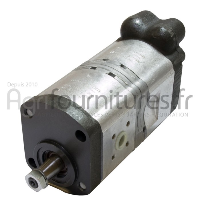 Pompes hydrauliques à engrenages double 11 + 8 cc Bepco 69/565-24