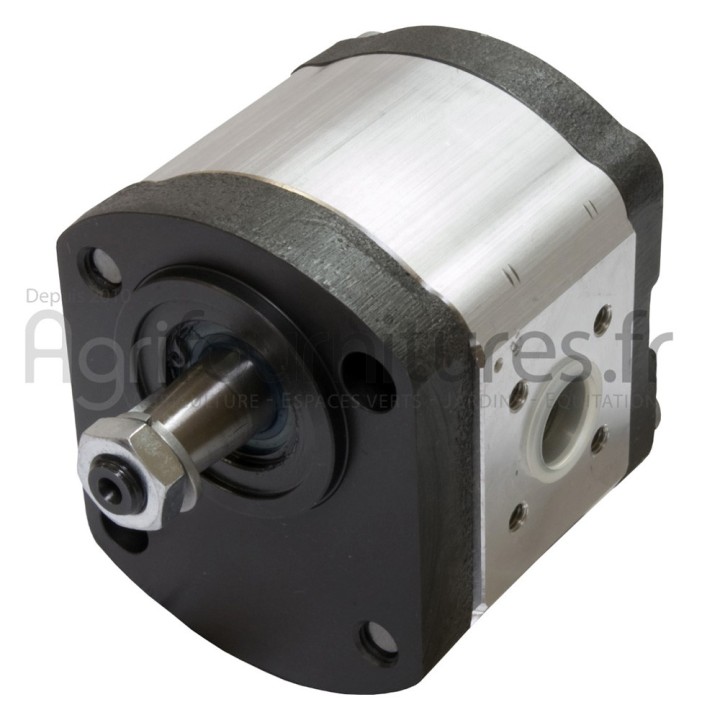 Pompes hydrauliques à engrenages 8 cc Bepco 69/565-4