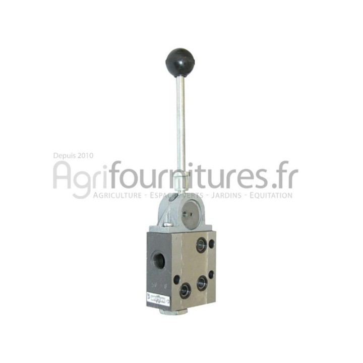 Eléments flasquables type Bosch simple effet avec blocage du levier Bepco 69/7600-6