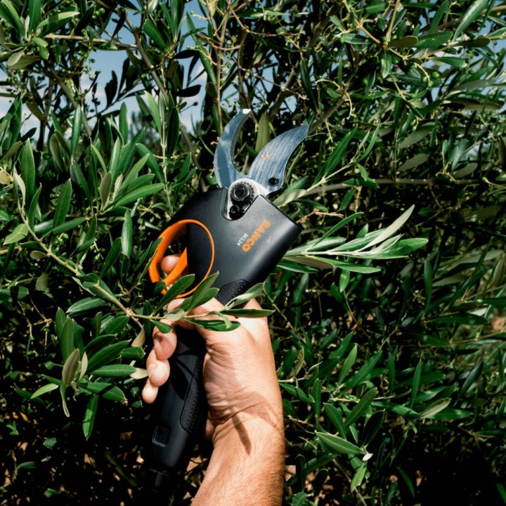 Sécateur à batterie Bahco BCL24 avec batterie, chargeur et accessoires