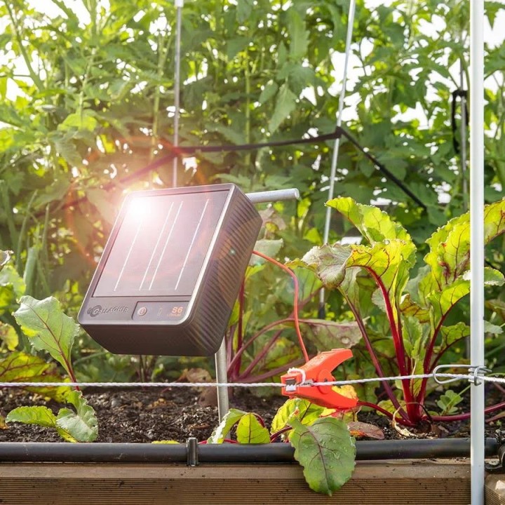 Électrificateur solaire avec batterie Lithium 6 Volt S6 Gallagher