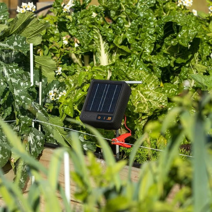 Électrificateur solaire avec batterie Lithium 6 Volt S6 Gallagher