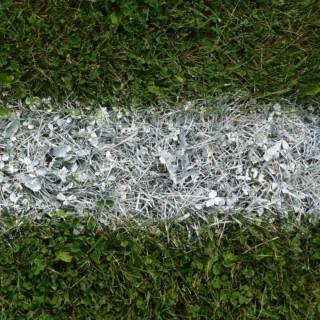 Peinture de Traçage Terrains de Sport à DILUER Blanche SURELIGNES Concentrée, Bidon de 15 kg - 10 L