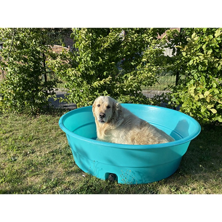 Bassin pour animaux bleu 500 L Plast'Up