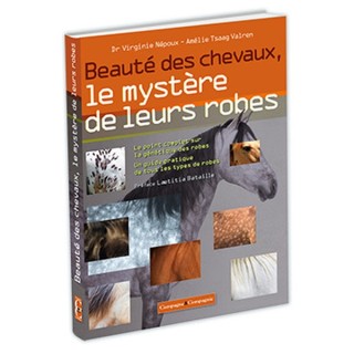 Les plus beaux chevaux et leurs robes