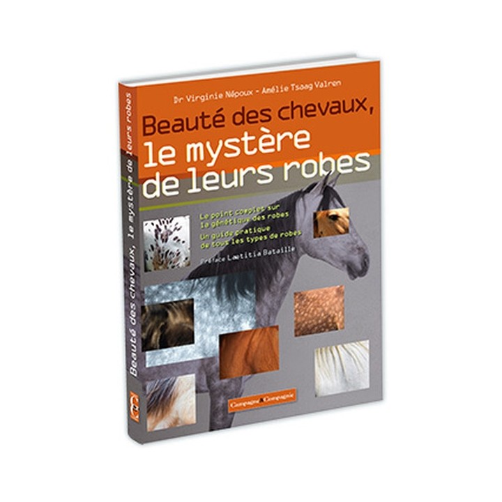 Les plus beaux chevaux et leurs robes