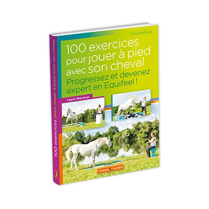 100 exercices pour jouer à pied avec son cheval