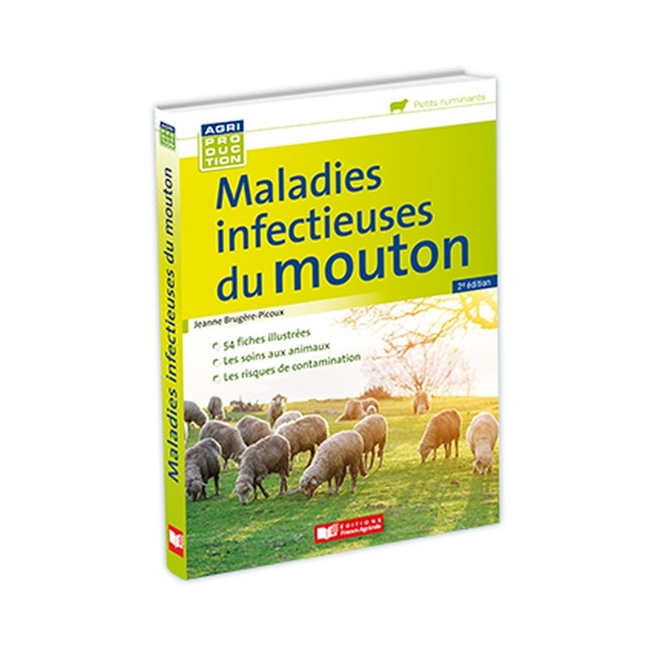 Maladies infectieuses du mouton