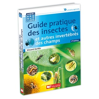 Guide pratique des insectes et autres invertébrés des champs