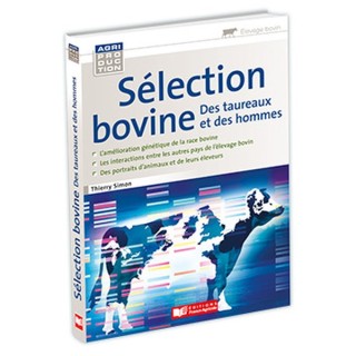 Sélection bovine des taureaux et des hommes