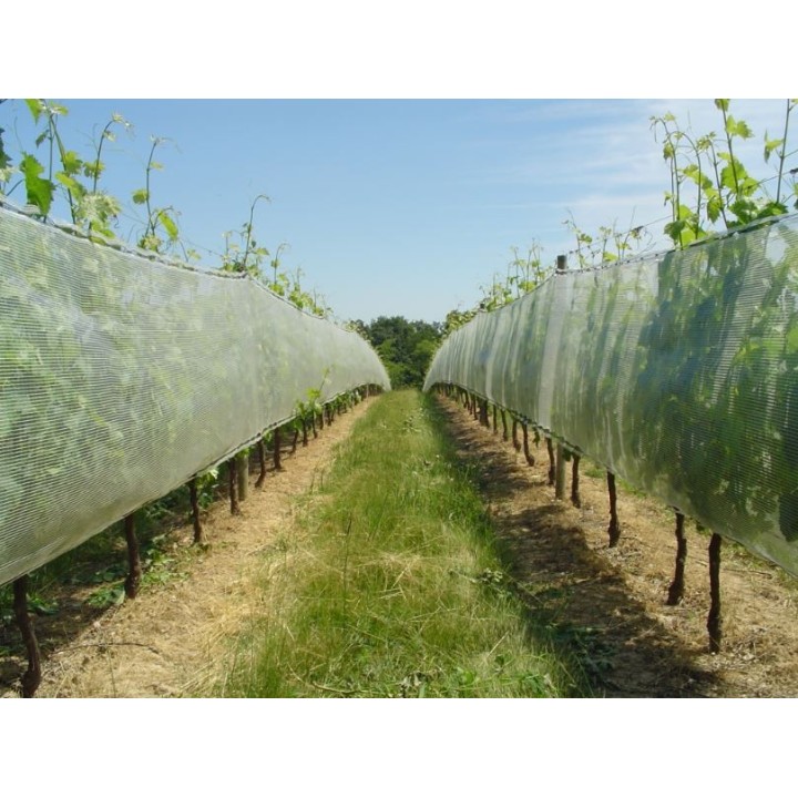 Filet polyvalent pare-grêle / anti-insectes / anti-oiseaux - Rouleau 1 x 500 m