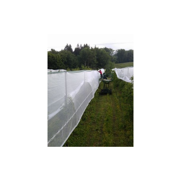 Filet polyvalent pare-grêle / anti-insectes / anti-oiseaux - Rouleau 1 x 500 m
