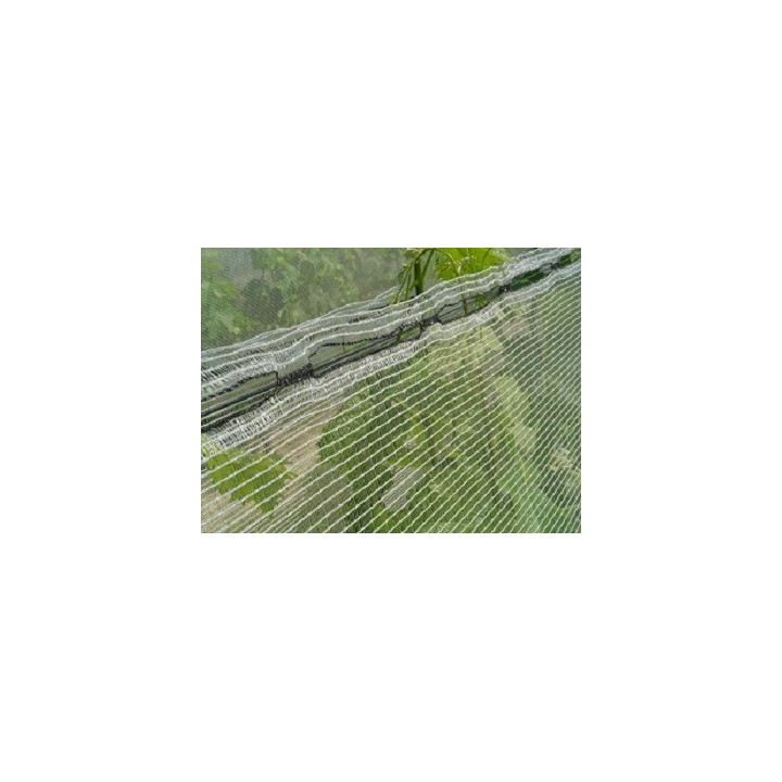 Filet polyvalent pare-grêle / anti-insectes / anti-oiseaux - Rouleau 1 x 500 m