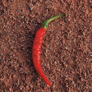Piment DE CAYENNE - Non traité