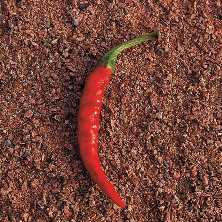 Piment DE CAYENNE - Non traité