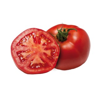 Tomate ELVIRADO F1 ronde - Non traité