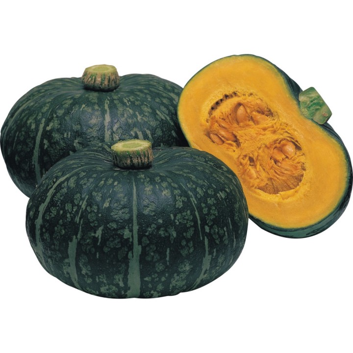 Courge DELICA F1 vert - Non traité