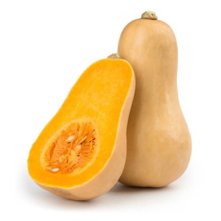 Courge SUCRINE DU BERRY - Non traité
