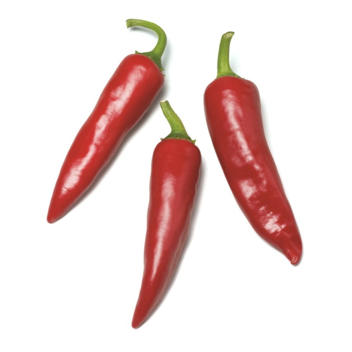 Graines de Piment SUCETTE DE PROVENCE - Non traité