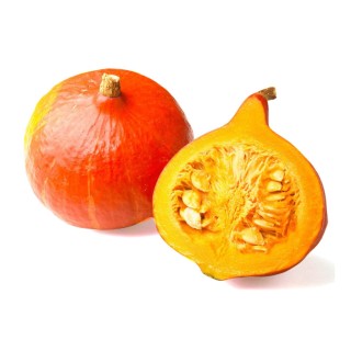 Courge RABEA F1 - Non traité - Les Toqués