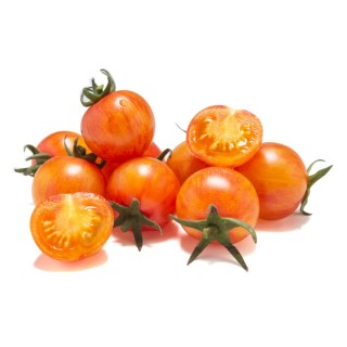 Graines de Tomate TROPICALSUN F1 cerise - Non traité