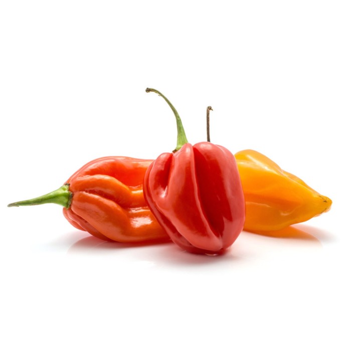 Graines de Piment HABANERO MIX - Non traité