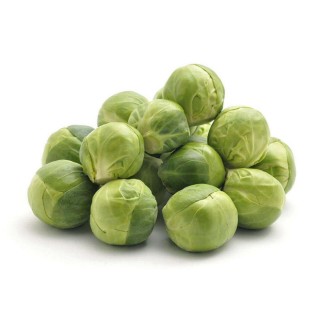 Graines de Chou de Bruxelles BRIGITTE F1 - Non traité