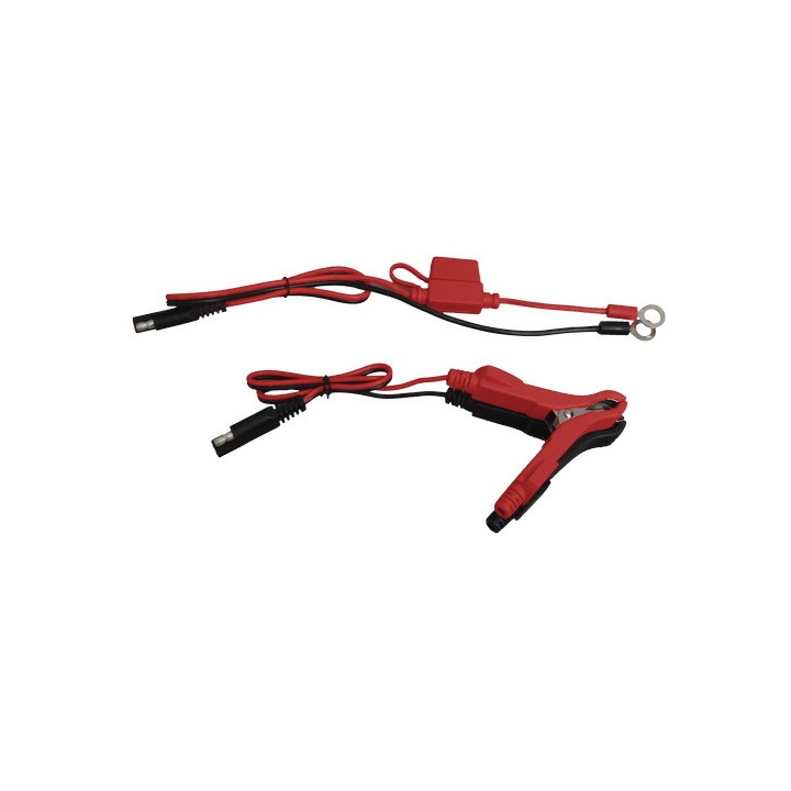 Chargeur pour batteries au plomb CHARGMATIC 4-12 Lacmé