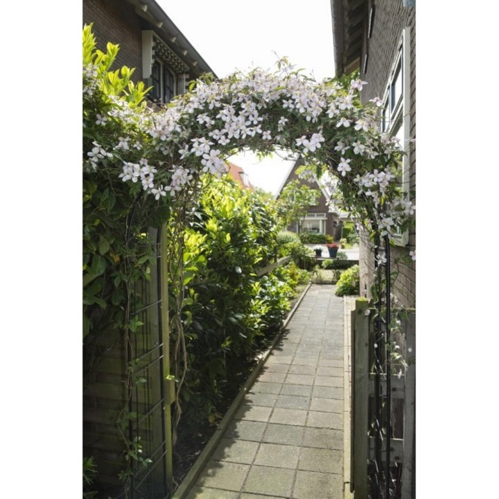 Pergola arche en acier galvanisé