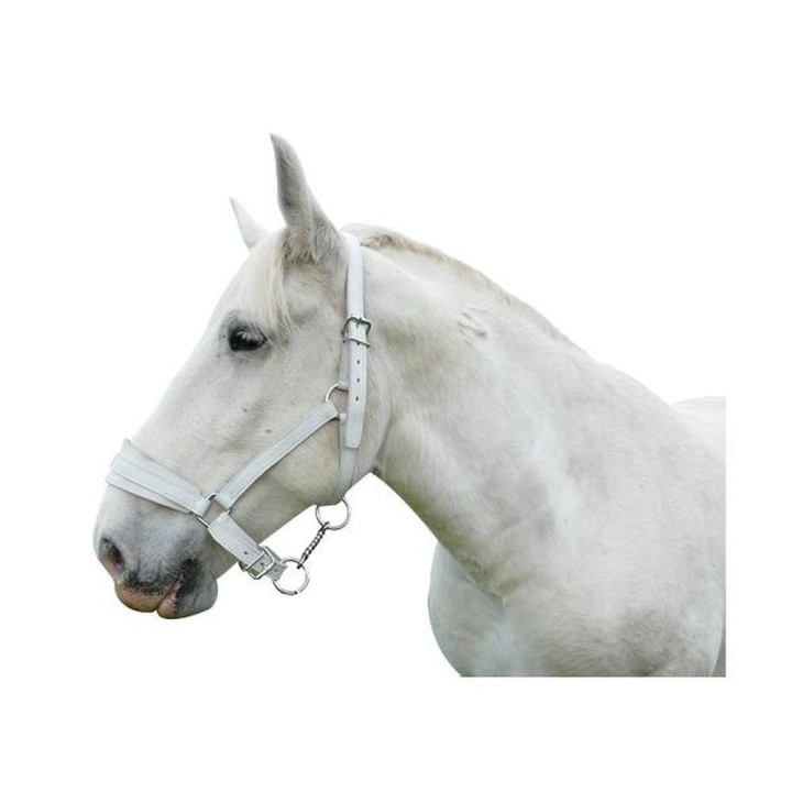 Licol cuir chrome cheval de trait Lacmé Passional