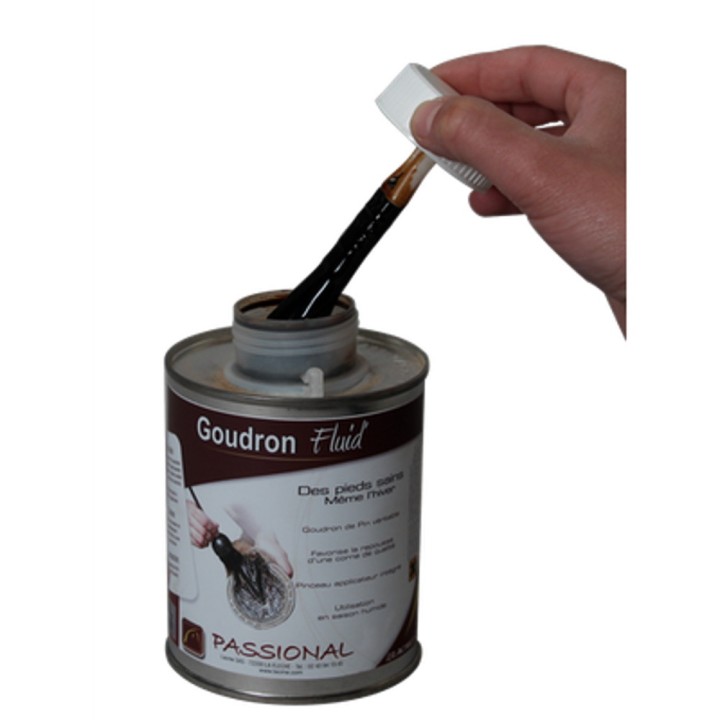 Goudron de pin véritable fluid 500 ml Lacmé Passional