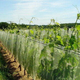 Filet polyvalent pare-grêle / anti-insectes / anti-oiseaux - Rouleau 1 x 500 m