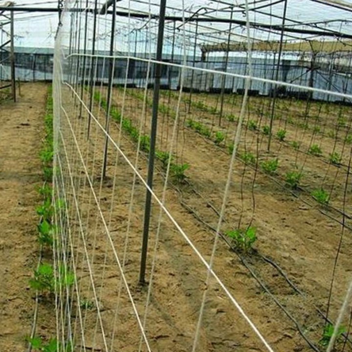 Filet à ramer en coton 100% Biodégradable Hauteur 2m - Longueur 500m