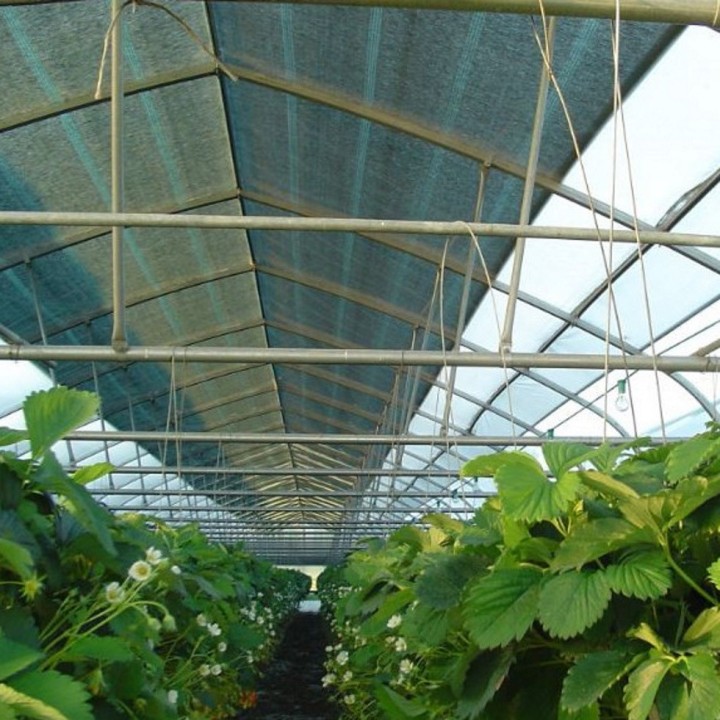 Filet écran d'ombrage 55% et brise vent 55% vert et noir anti-UV 4 à 5 ans
