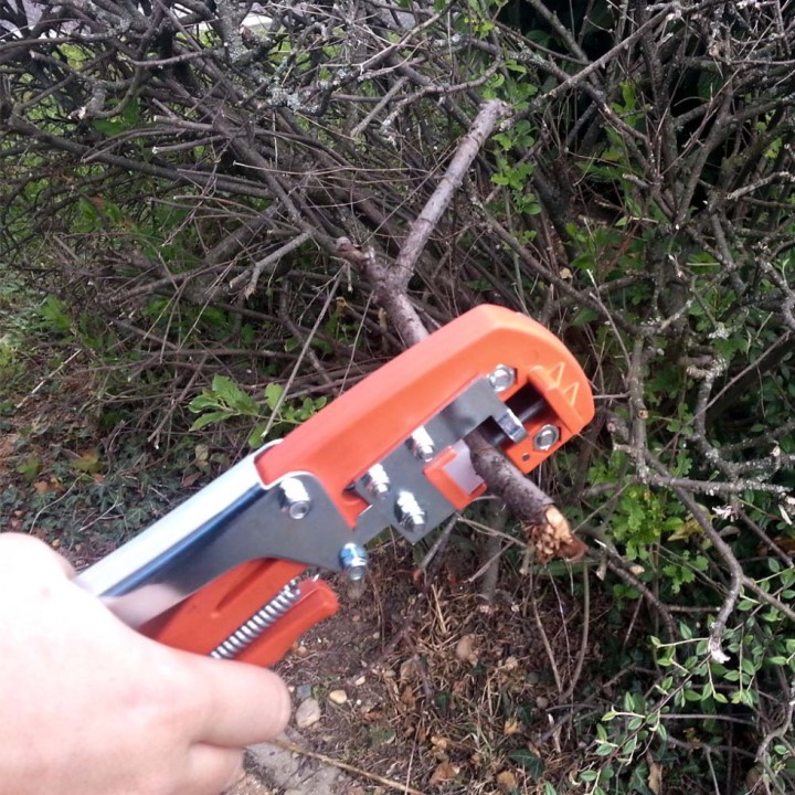 Pince à greffer italienne + 4 lames de greffage