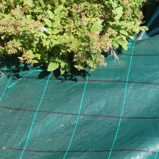 Toile de paillage verte 90 gr. Lonodis Jardin Longueur 25 m