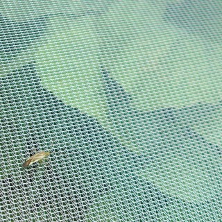 Filet anti-insecte FILBIO compostable PLA très léger 34gr/m2 à mailles fines anti-UV 2 à 3 saisons