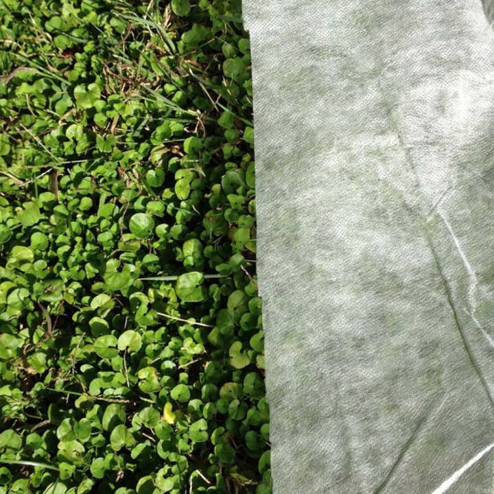 Voile hivernage ou forçage, 17 gr/m², non tissé blanc, Lonodis, rouleaux 100 et 250 m, largeurs standard