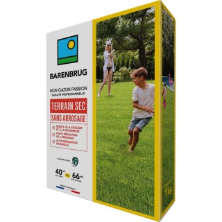 Gazon terrain sec sans arrosage qualité pro, boite 1 kg - Barenbrug