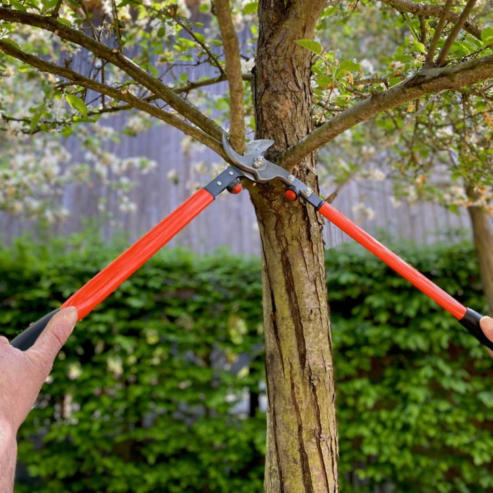 Ébrancheur professionnel Bahco P16-60-F, longueur 60 cm
