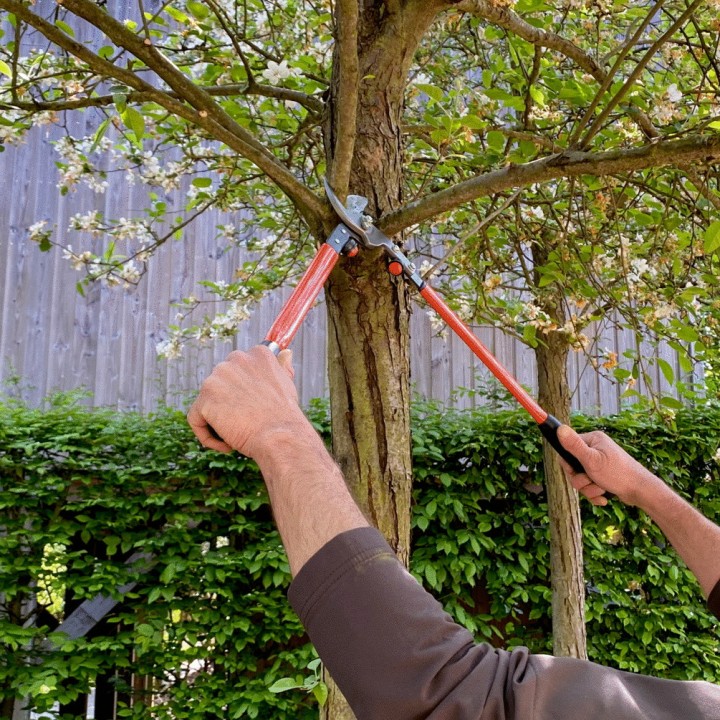 Ébrancheur professionnel Bahco P16-50-F, longueur 50 cm